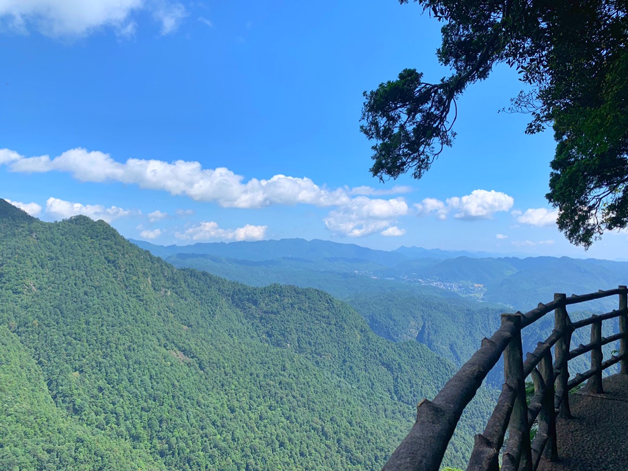 井岡山旅遊圖片,井岡山自助遊圖片,井岡山旅遊景點照片 - 馬蜂窩圖庫