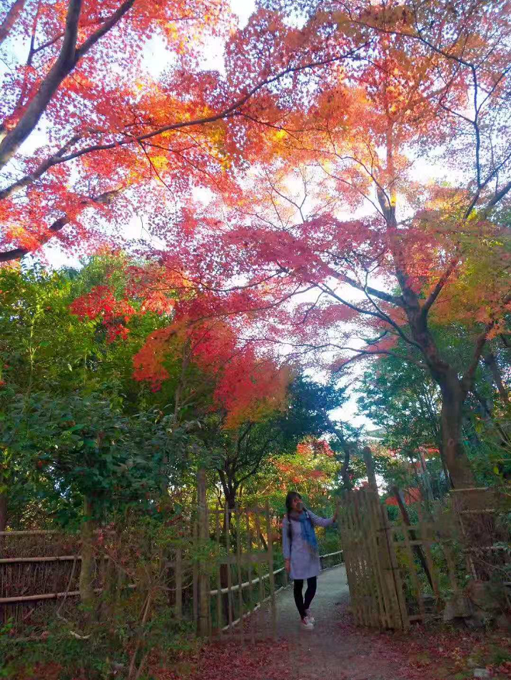 名古屋自助遊攻略