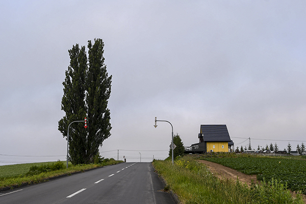 北海道自助遊攻略