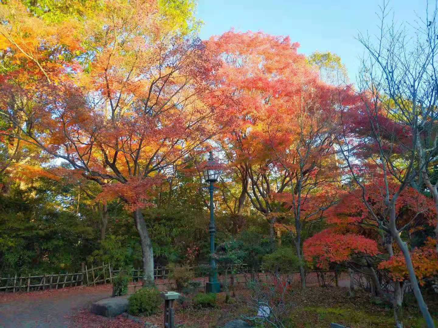 名古屋自助遊攻略