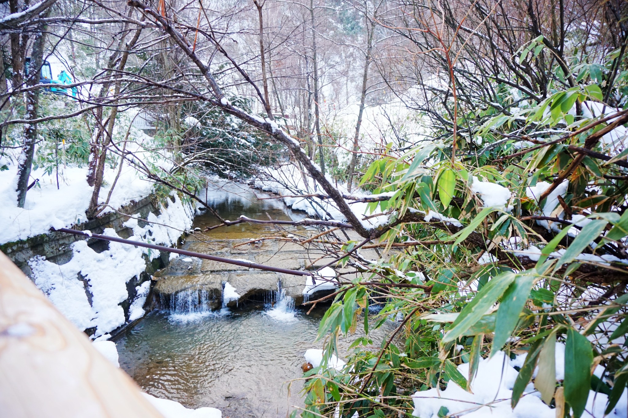 北海道自助遊攻略