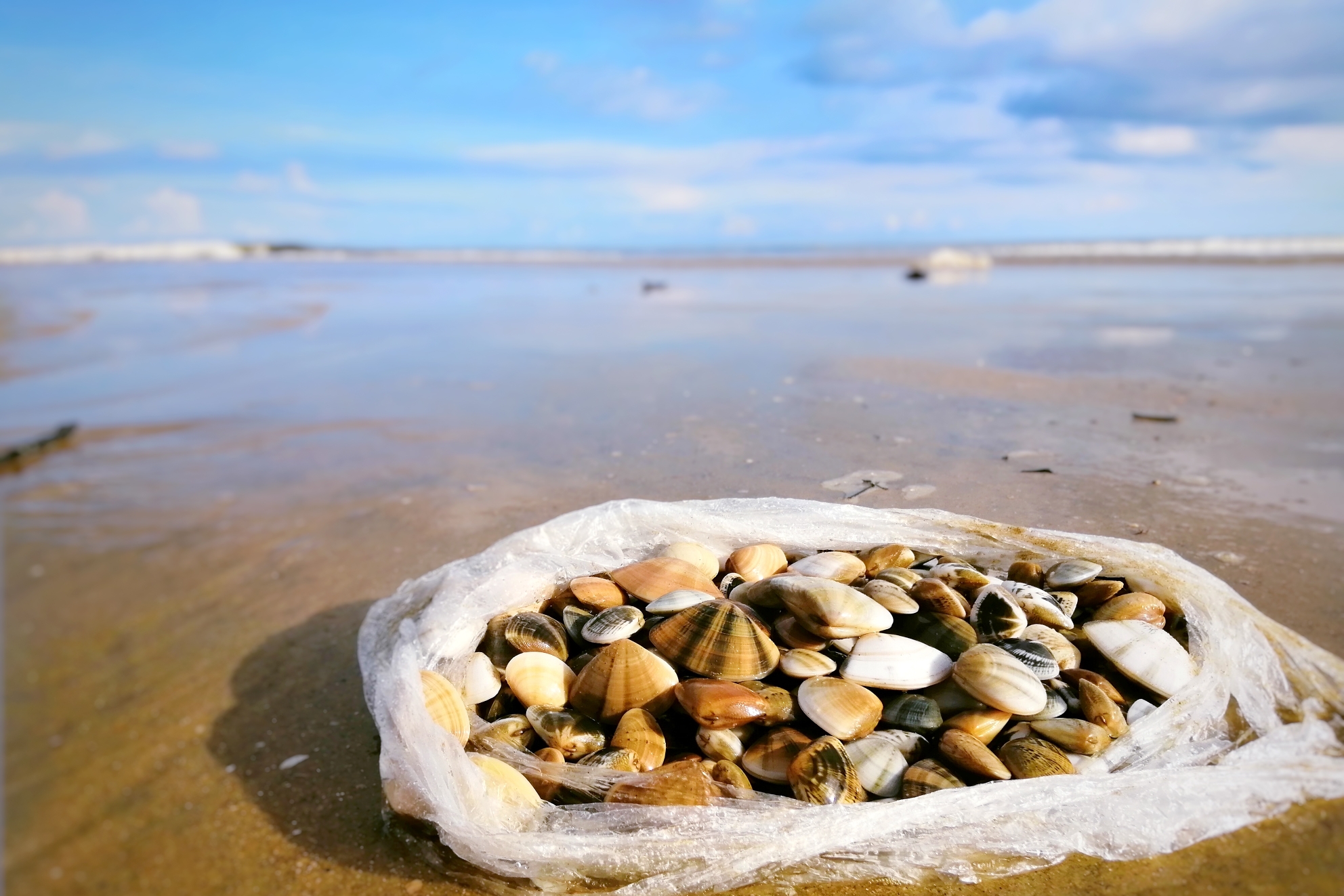 许的话，可以去赶海，海边有很多螺和螃蟹，提前查好退潮时间。点击查看