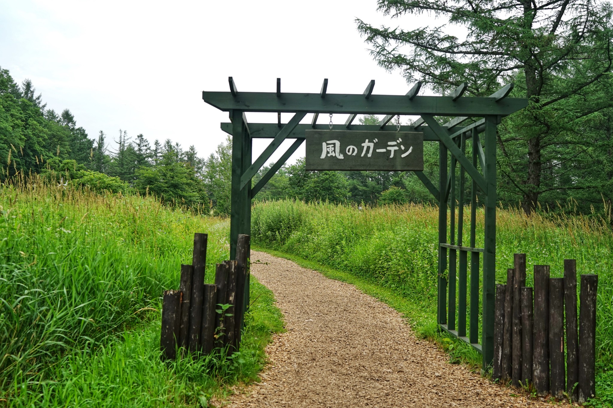 北海道自助遊攻略