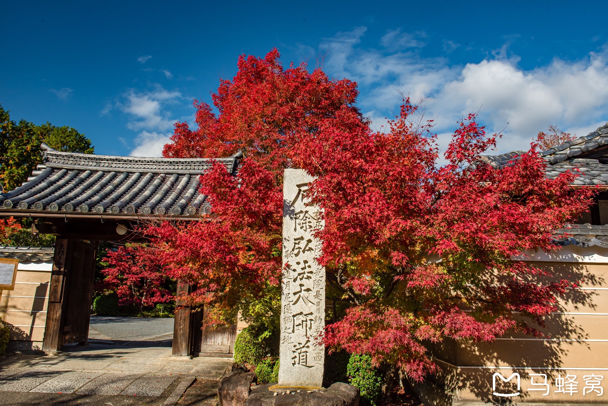 京都自助遊攻略