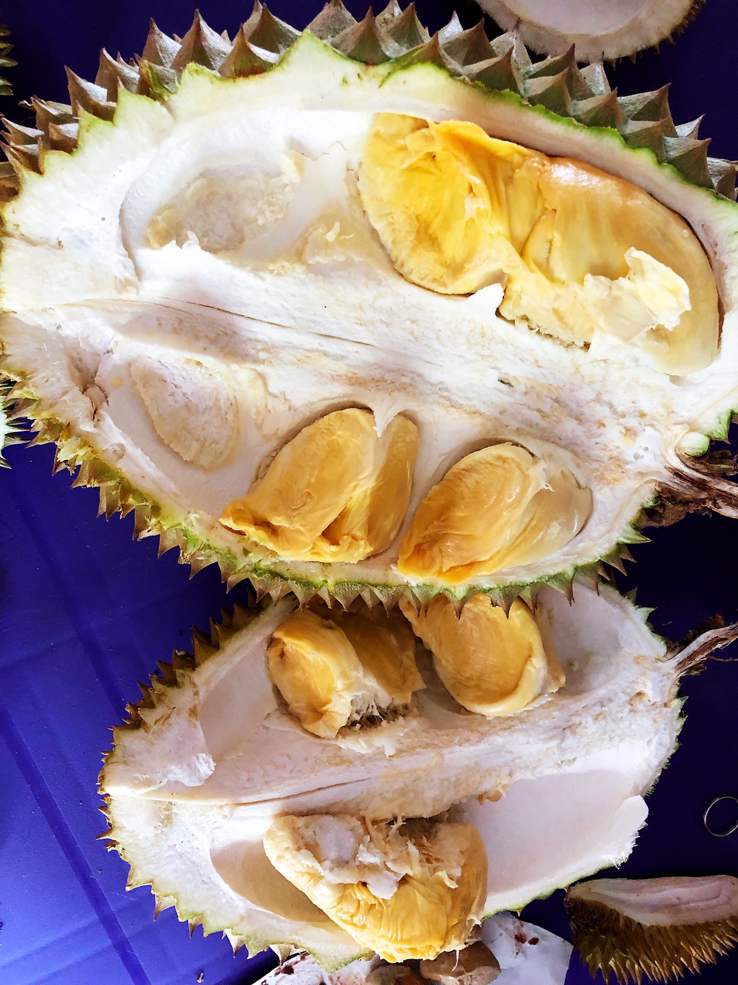 沙巴之疯狂吃榴莲 海鲜?椰子冻(住海景民宿 亲子游攻略)