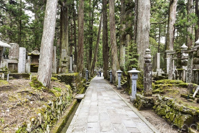 京都自助遊攻略