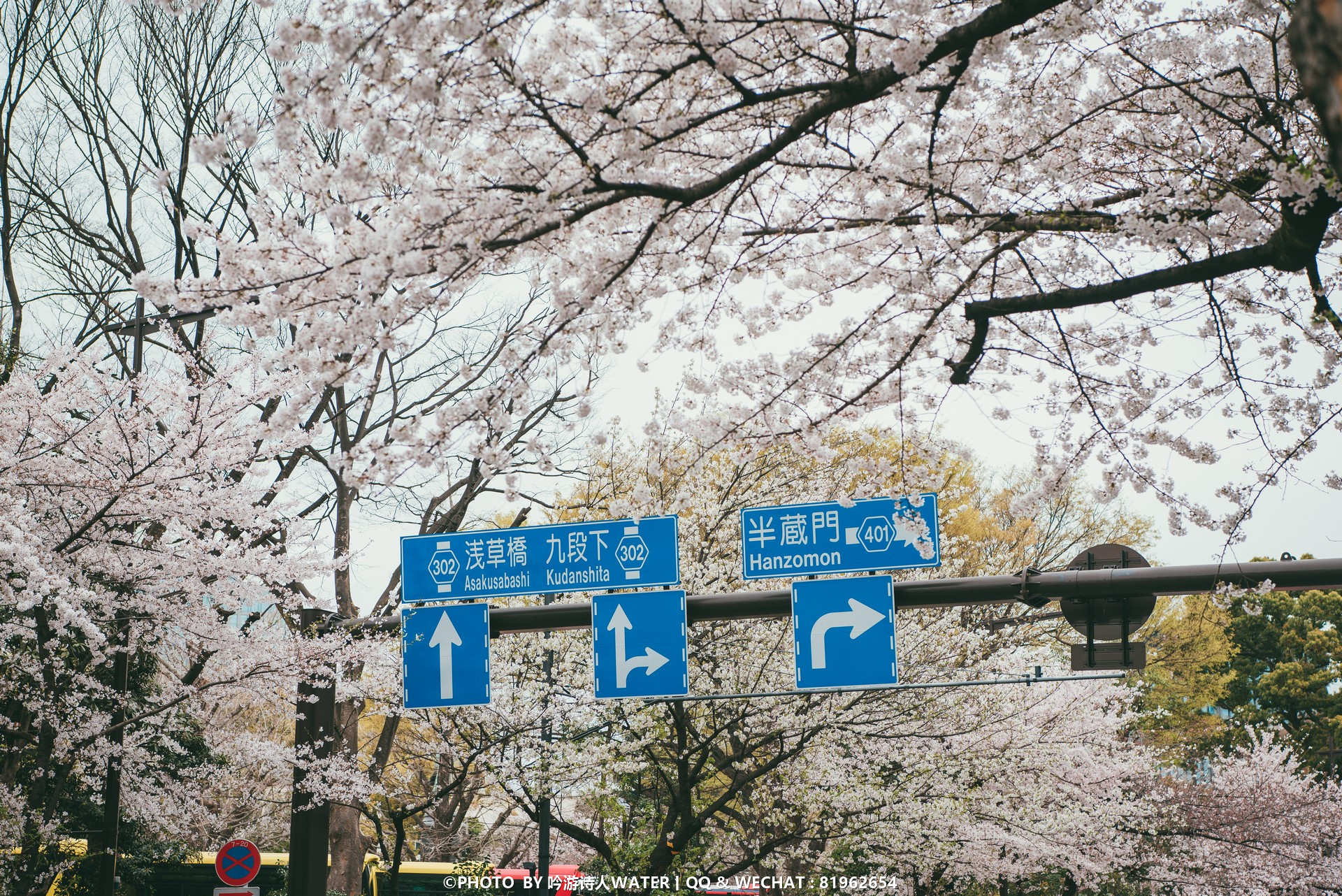 東京自助遊攻略