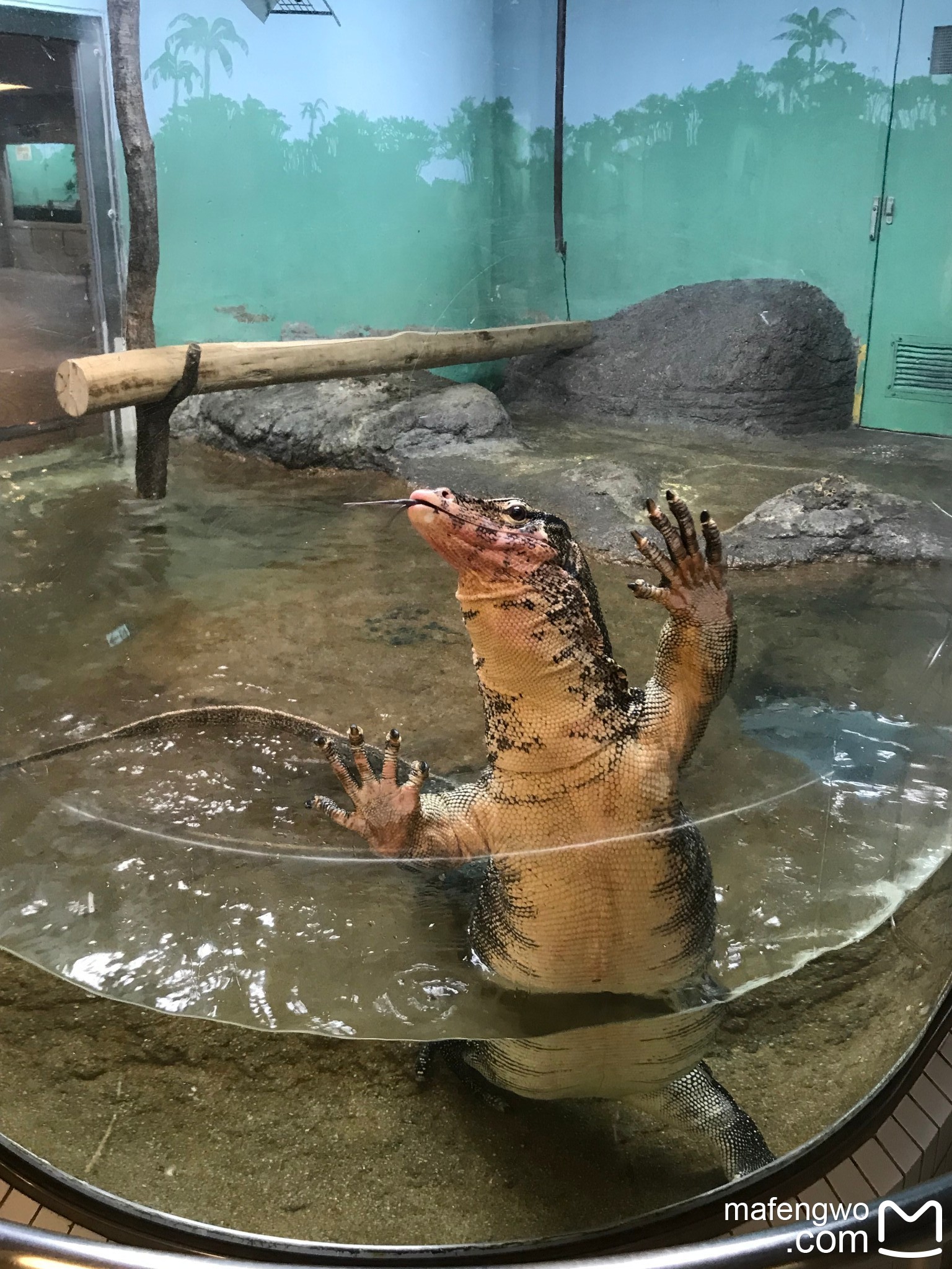 名古屋自助遊攻略