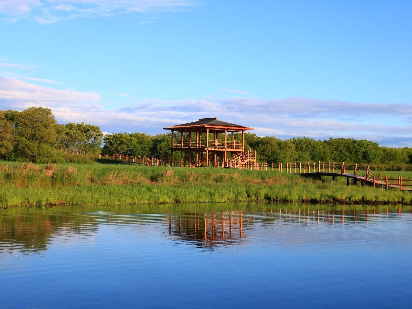 抚远黑瞎子岛湿地风光无限好.