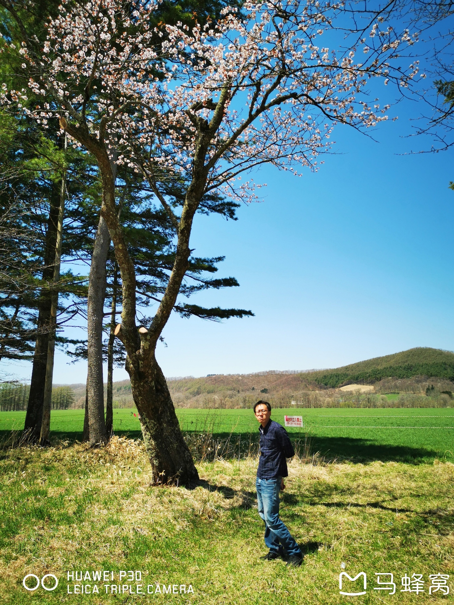 北海道自助遊攻略