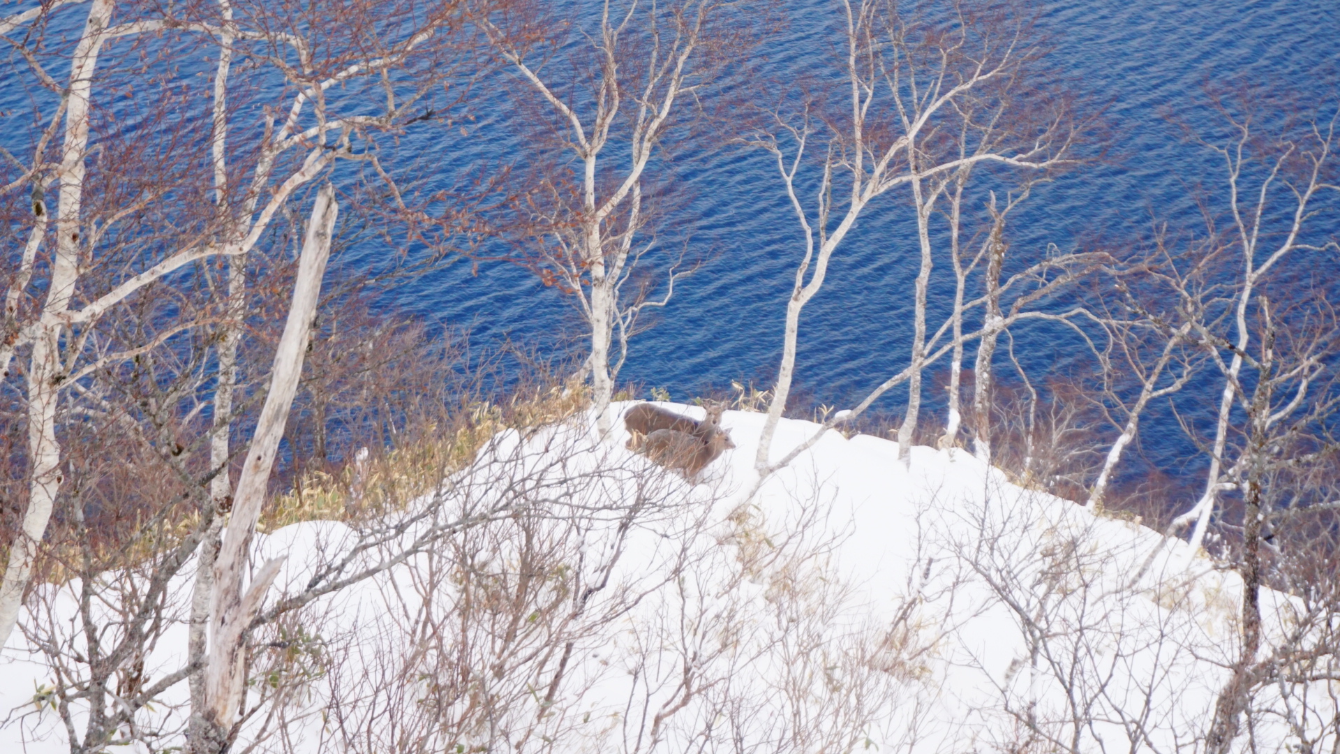 北海道自助遊攻略