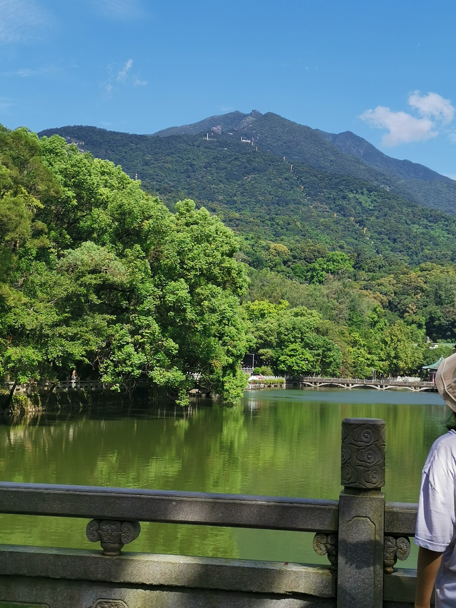 羅浮山下四時春,盧橘楊梅次第新. 日啖荔枝三百顆,不辭長作嶺南人!