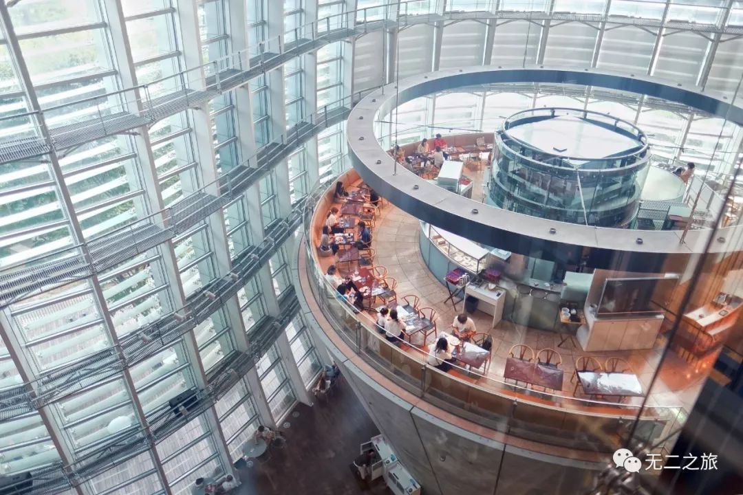 日本旅游攻略 夏天来了是该去看萤火虫了 手机马蜂窝