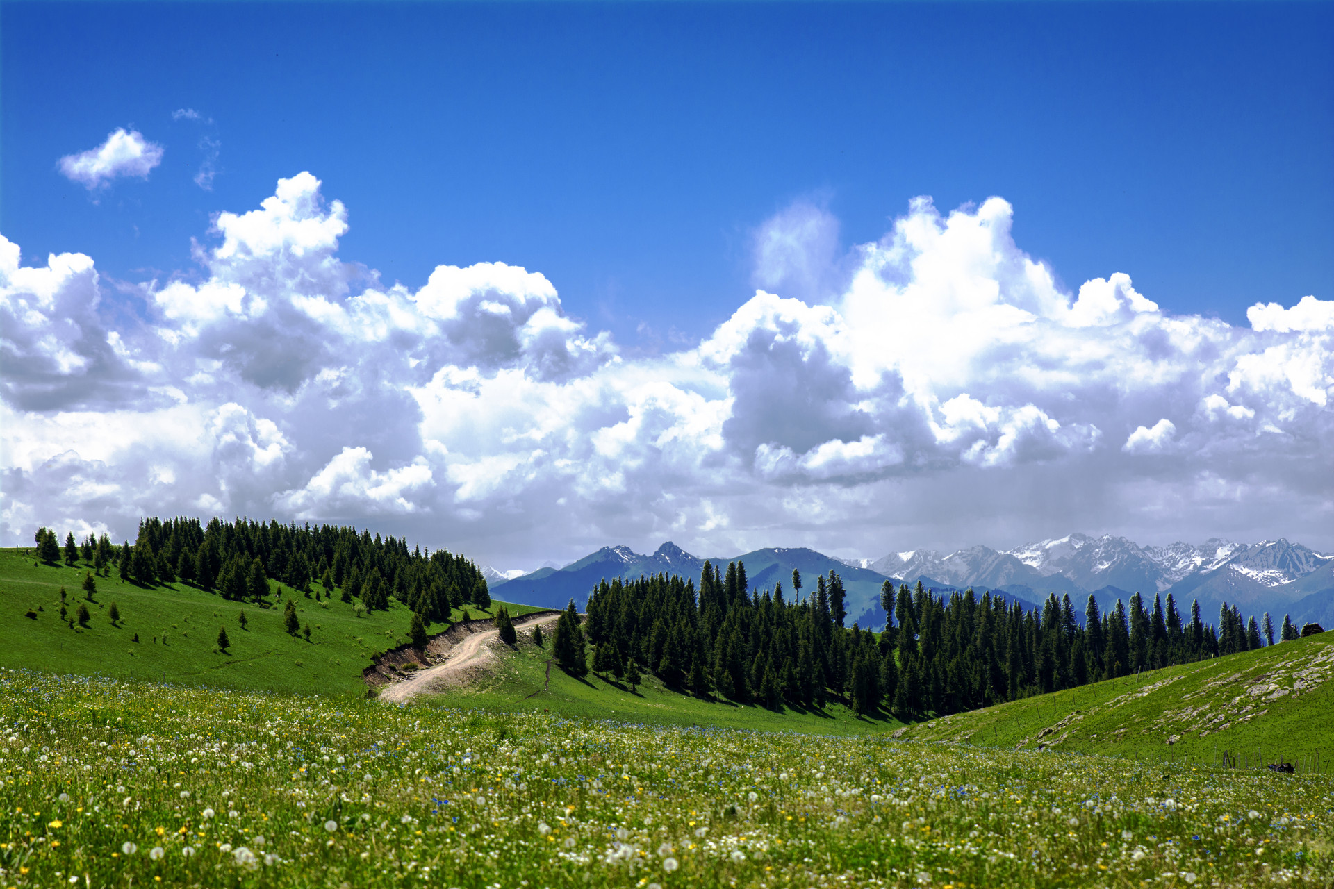 【特克斯当地游】特克斯一日游_门票_租车推荐 - 马蜂窝自由行