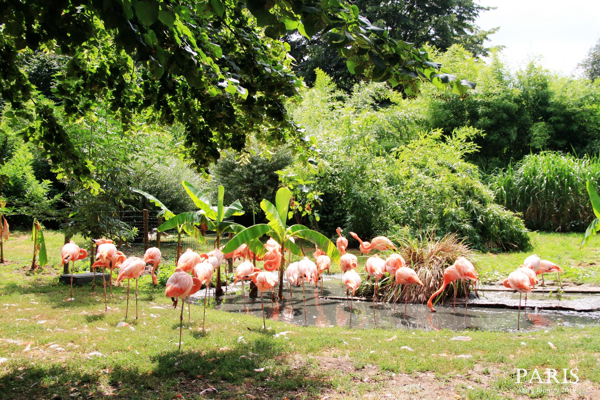 巴黎植物园攻略 巴黎植物园门票 地址 巴黎植物园景点攻略 马蜂窝