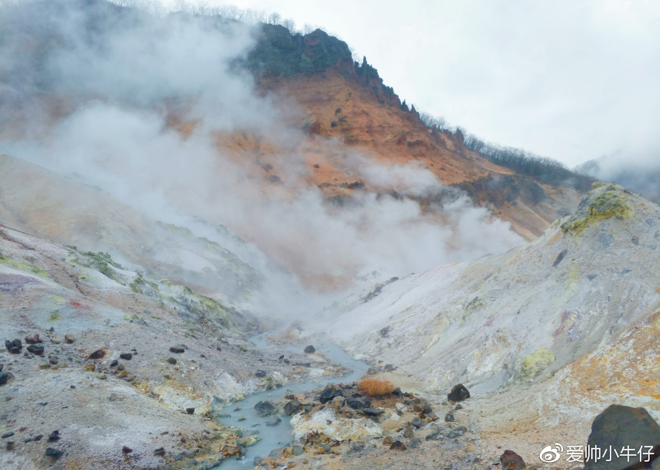 北海道自助遊攻略