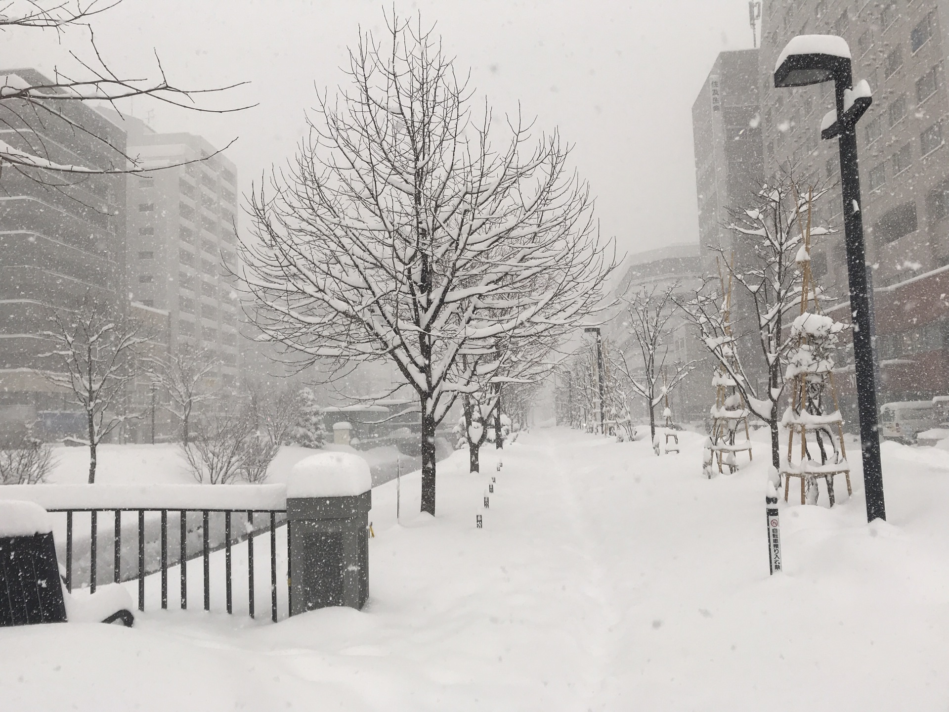 札幌自助遊攻略