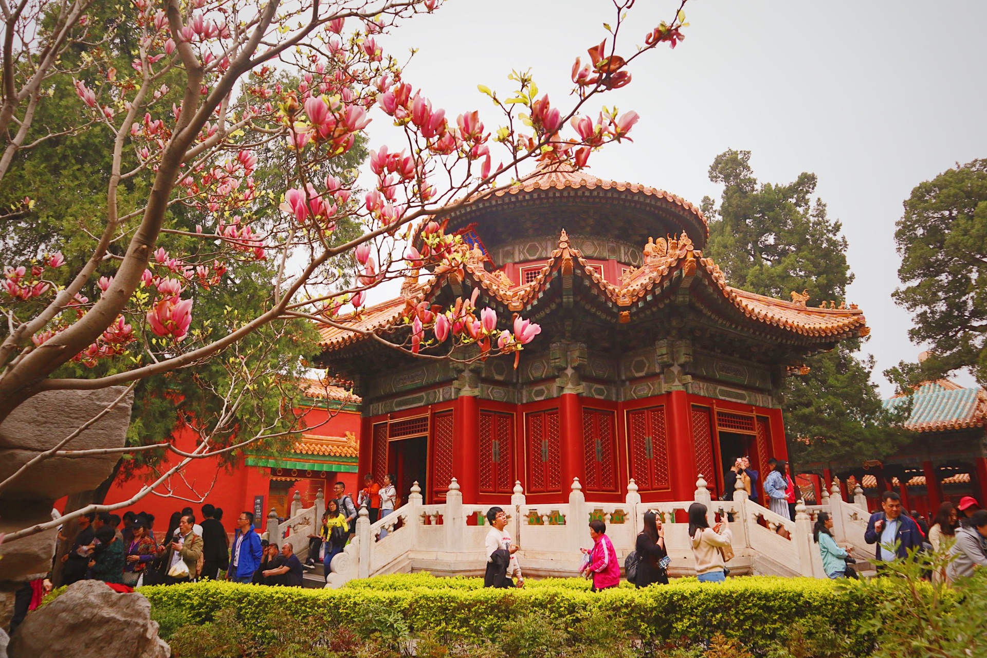 故宫博物院-御花园