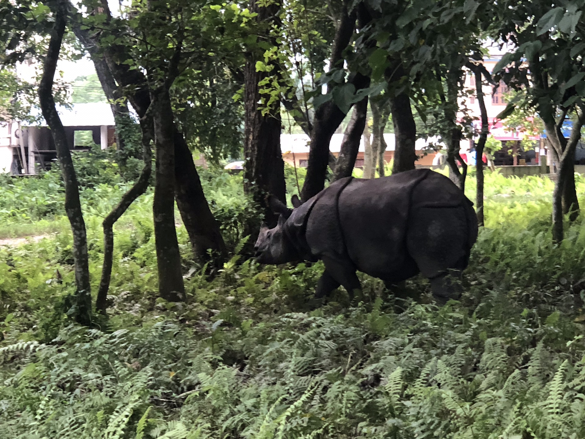 尼泊爾自助遊攻略