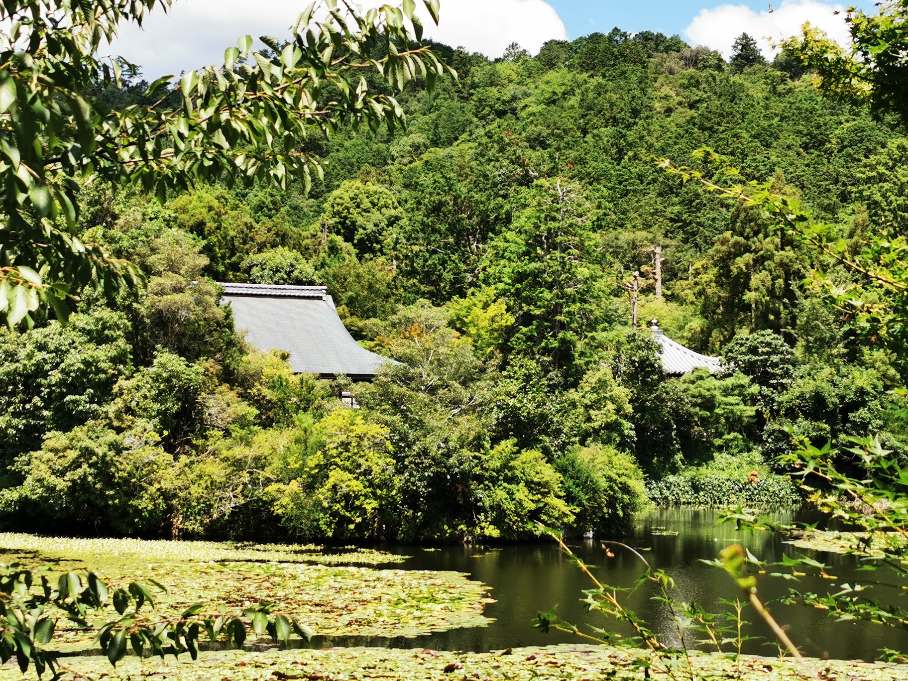 京都自助遊攻略