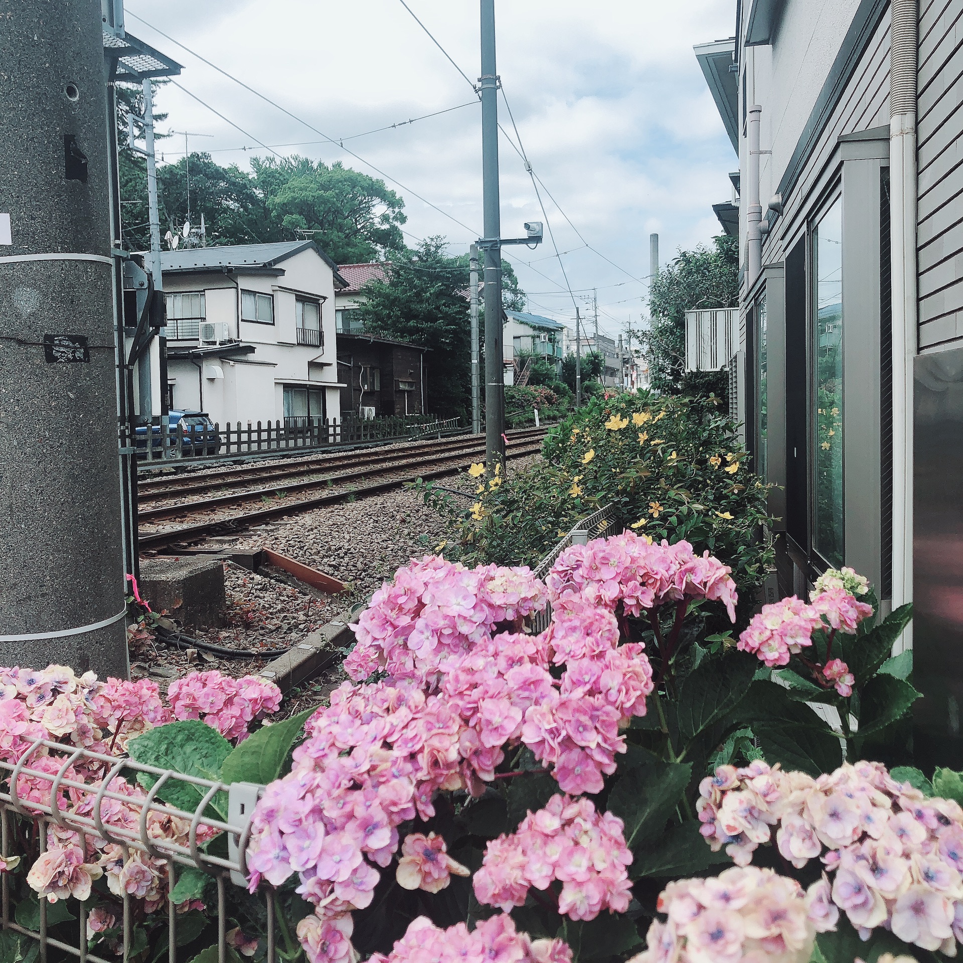 東京自助遊攻略