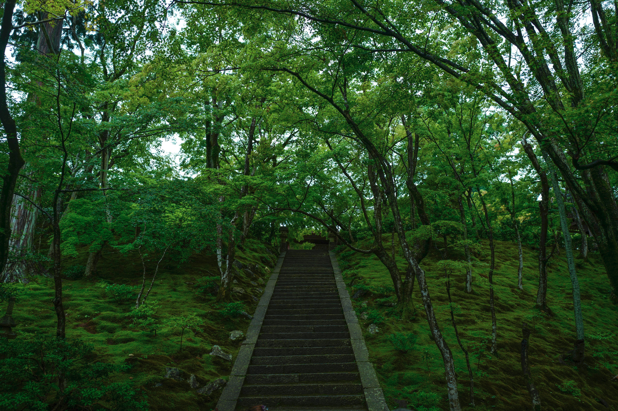 京都自助遊攻略