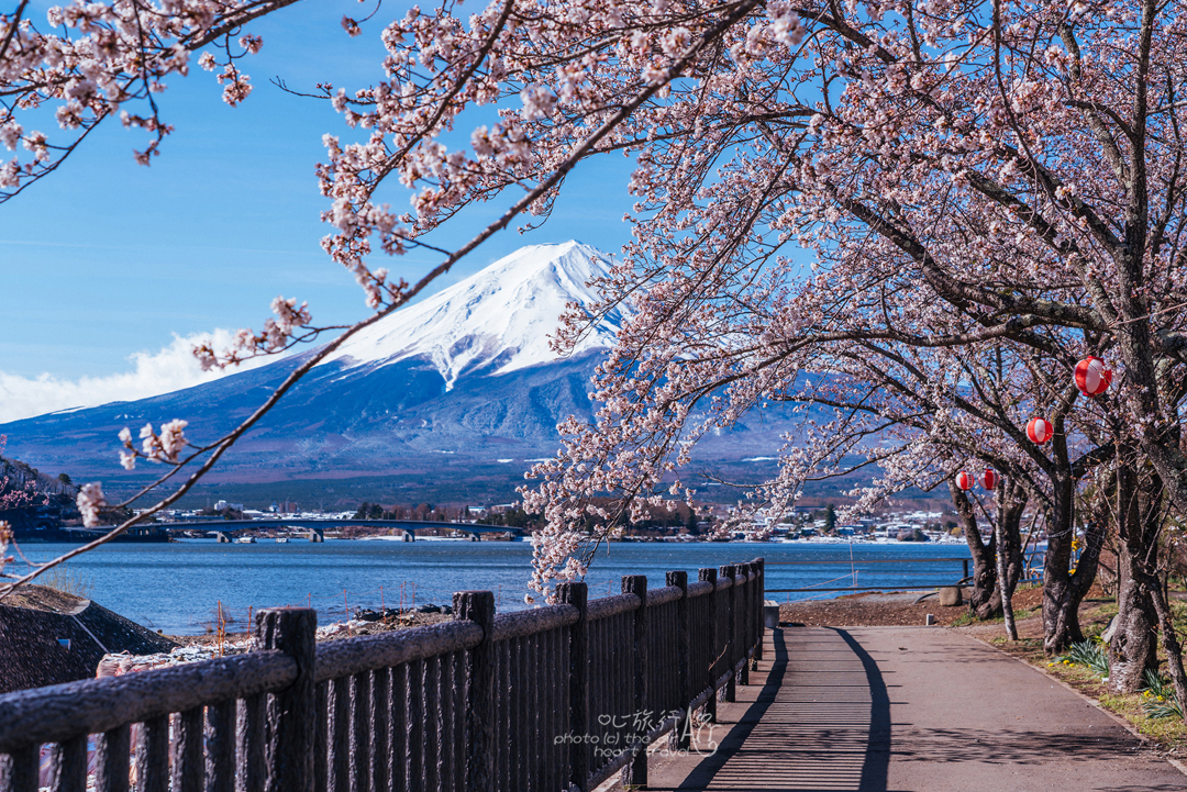 富士山自助遊攻略