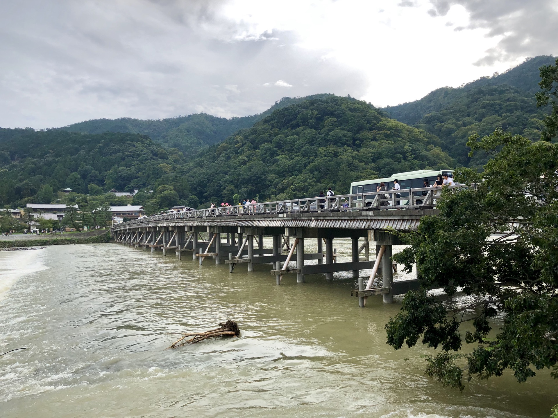 京都自助遊攻略