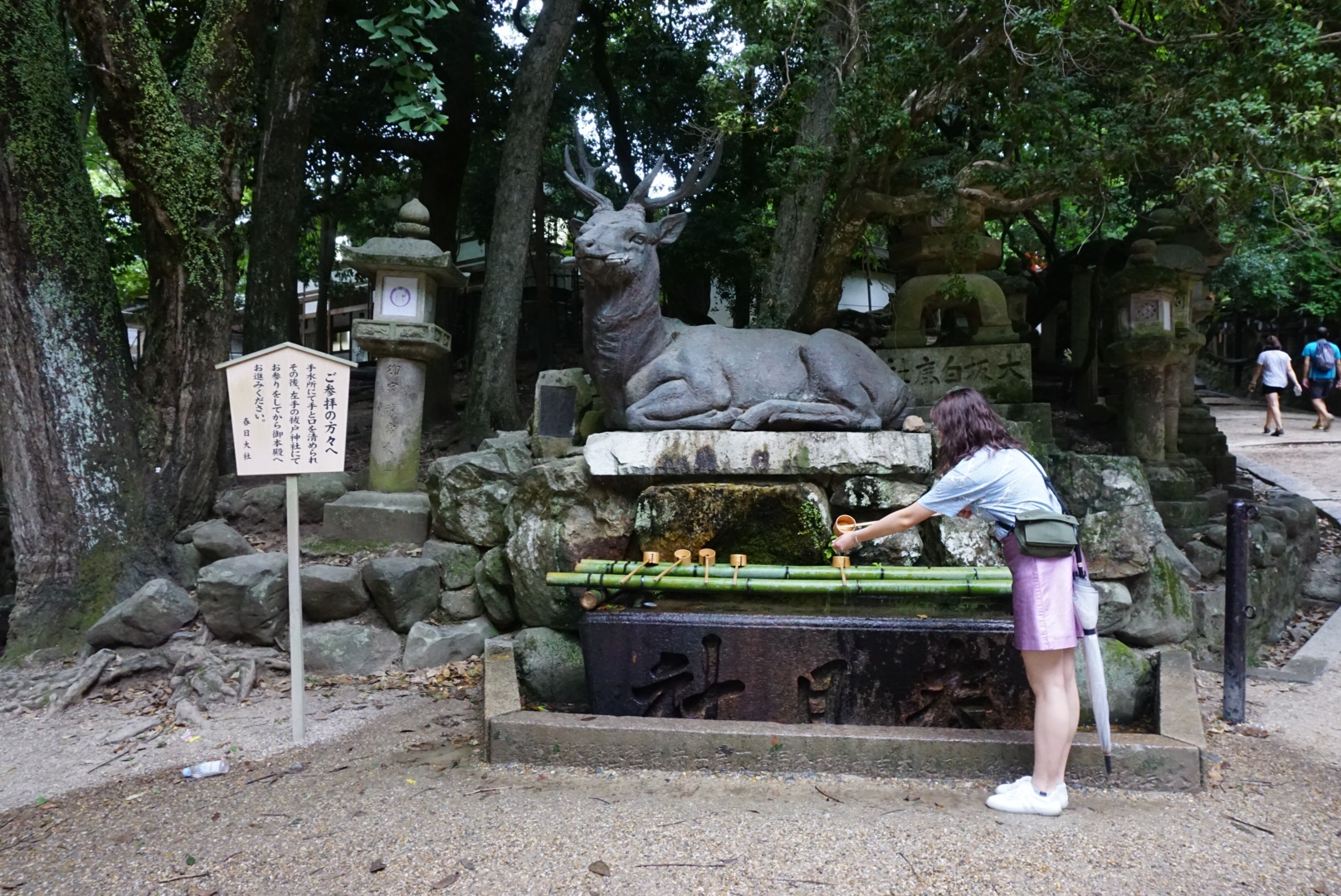 京都自助遊攻略