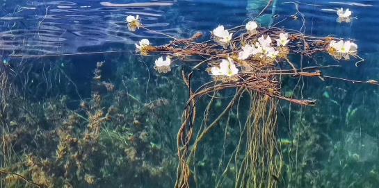 康巴秘境 | 木裡 · 瀘沽湖 · 邛海5天自駕遊記