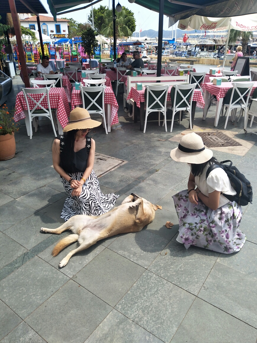 土耳其自助遊攻略