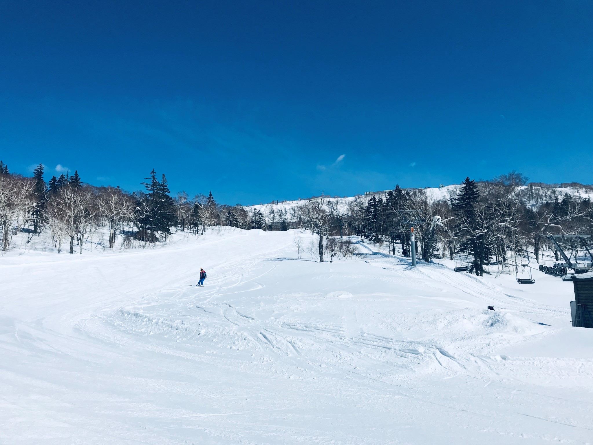 北海道自助遊攻略