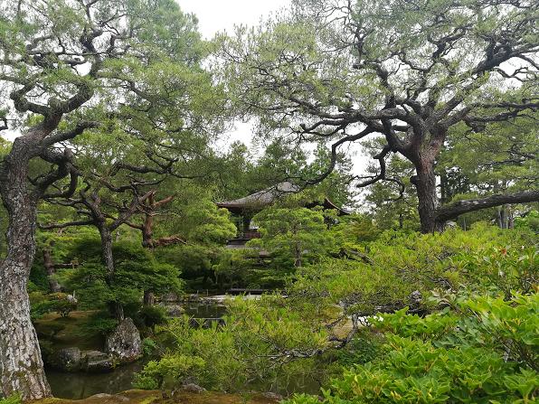 京都自助遊攻略