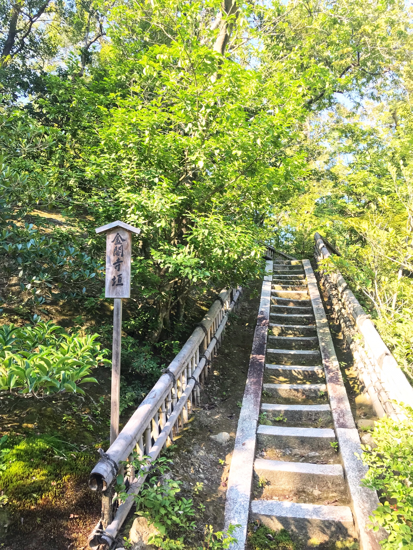 京都自助遊攻略