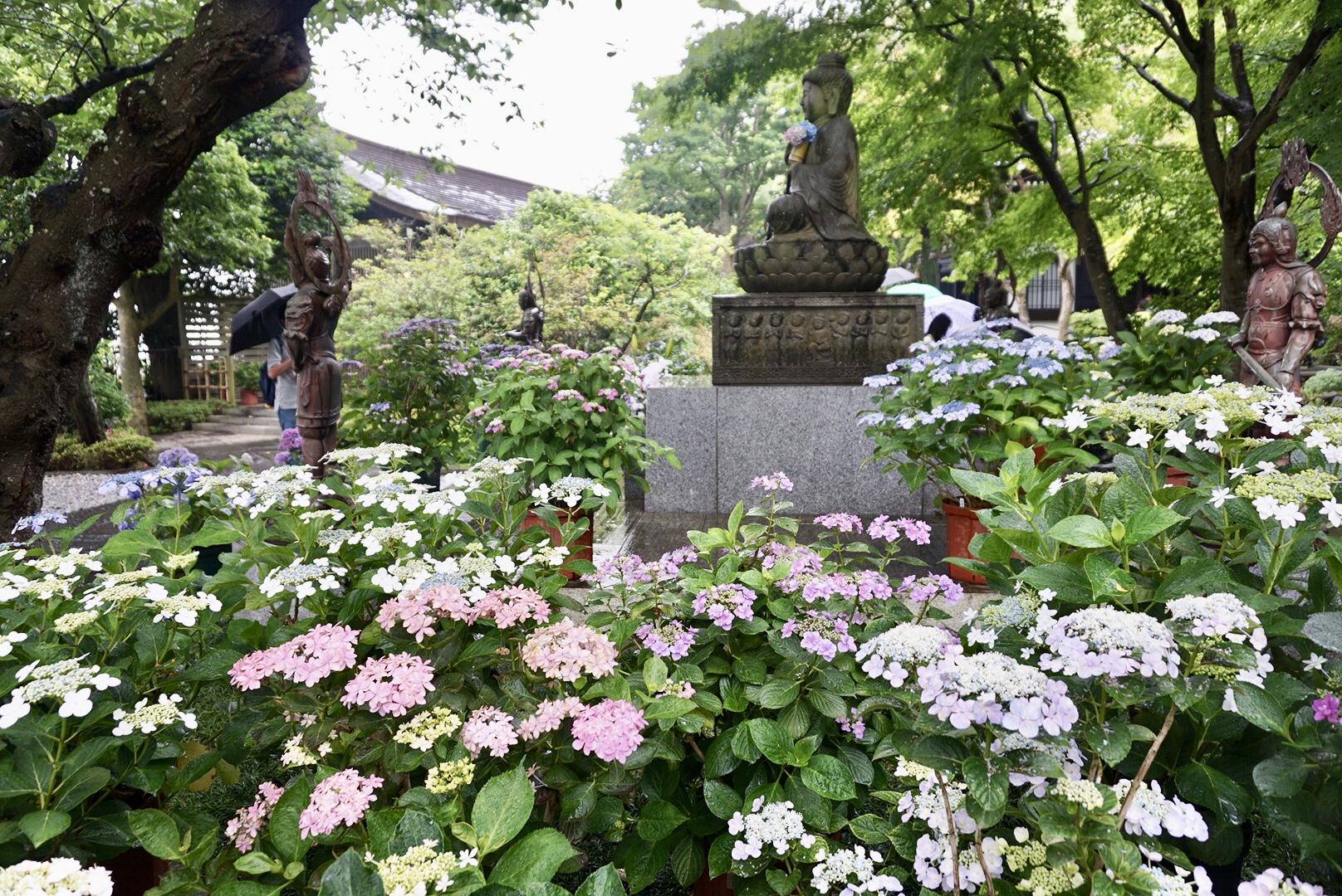 東京自助遊攻略