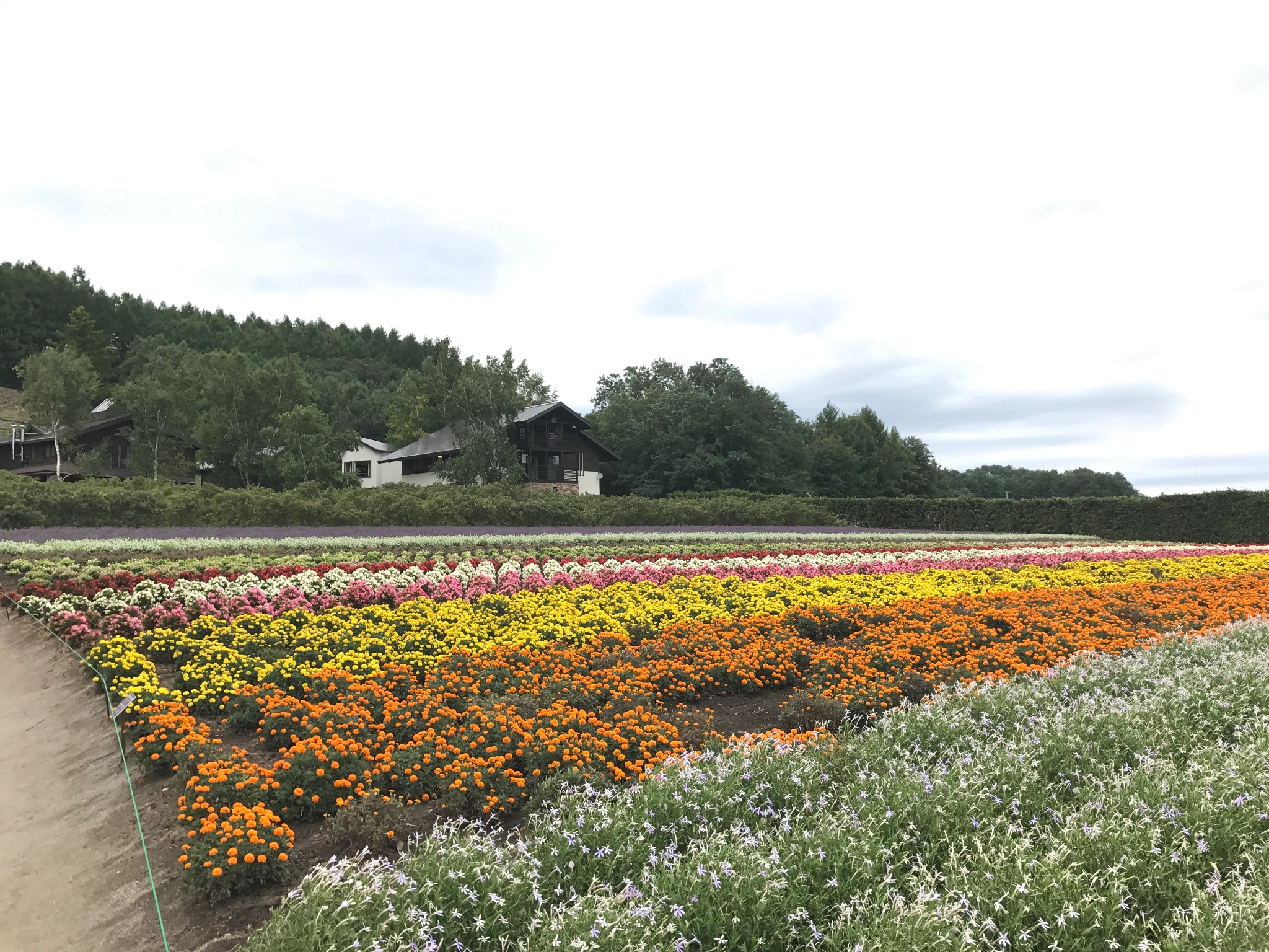 北海道自助遊攻略