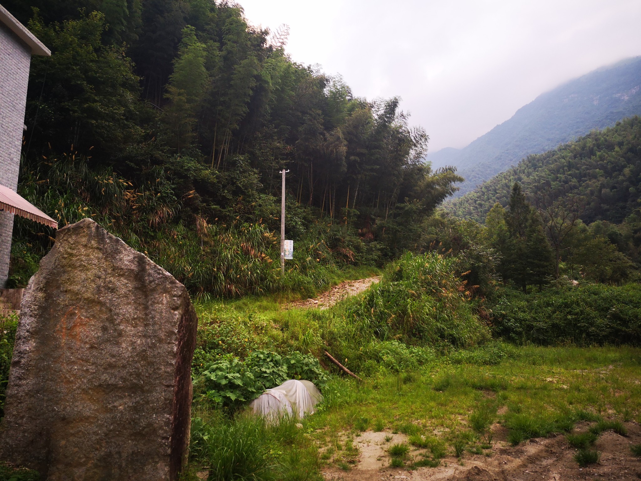 龙山村 马蜂窝