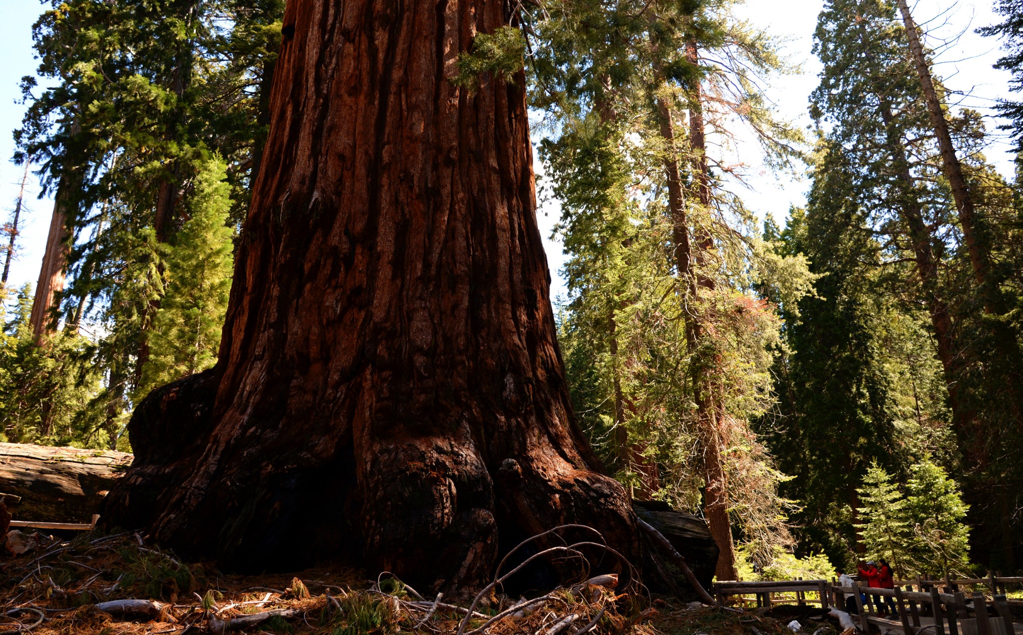 图莱里旅游图片,图莱里自助游图片,图莱里旅游景点