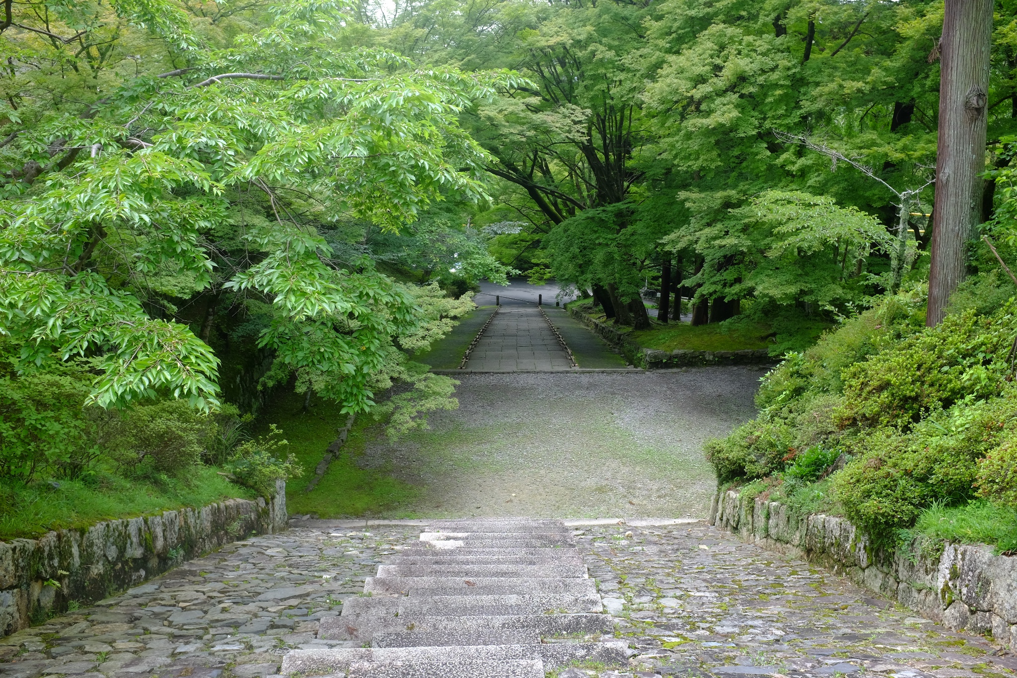 京都自助遊攻略