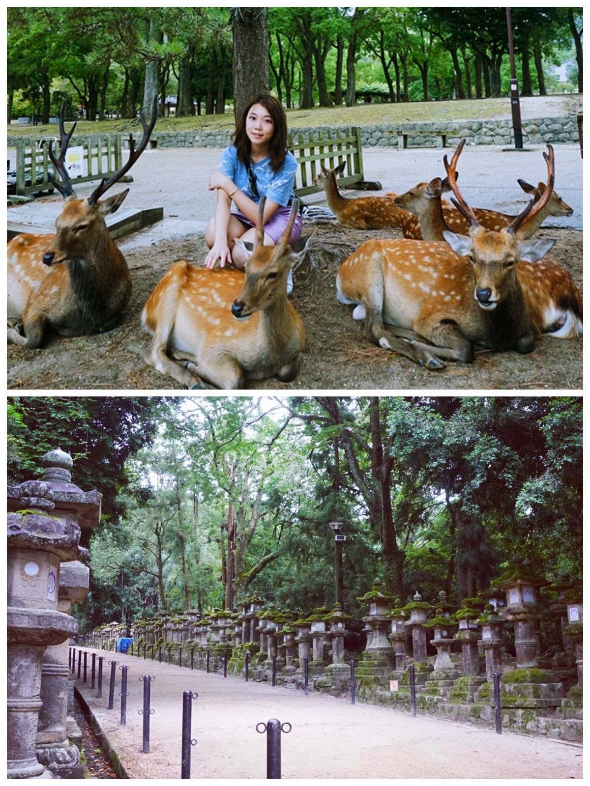 京都自助遊攻略