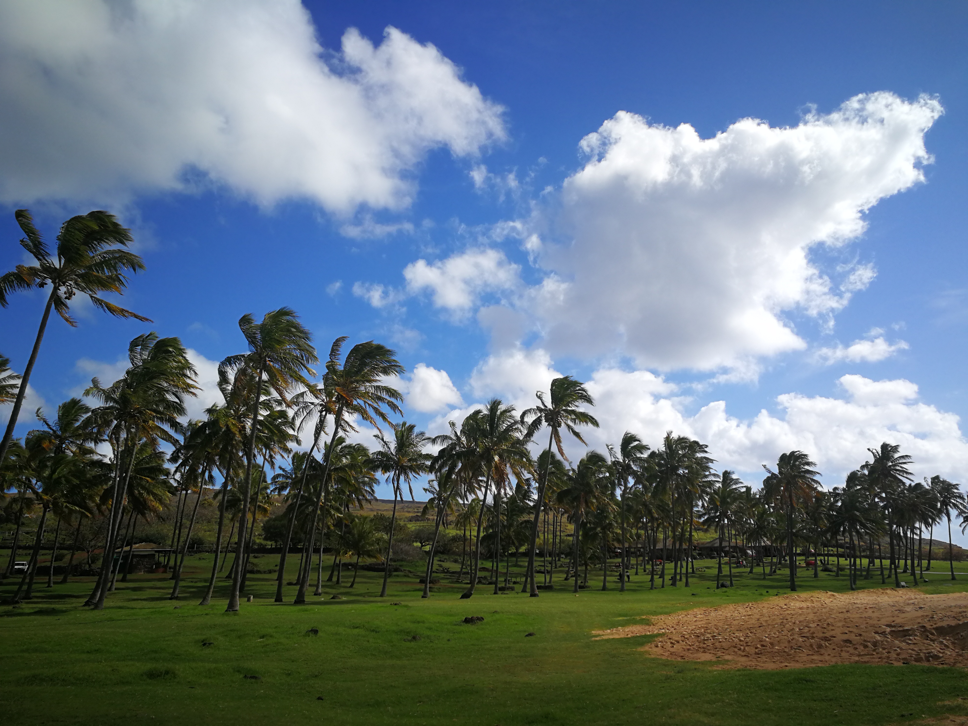 吉林到复活节岛旅游