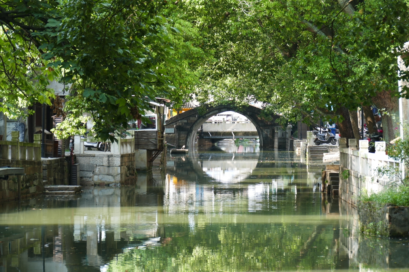 芦墟汾湖公园图片