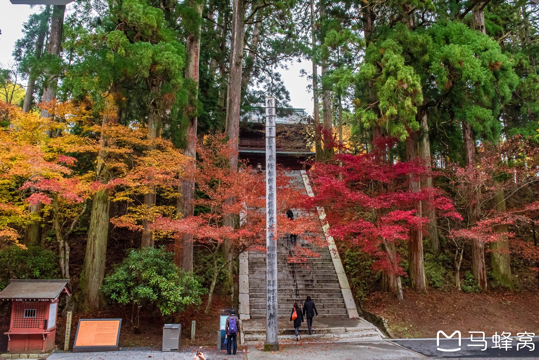 京都自助遊攻略