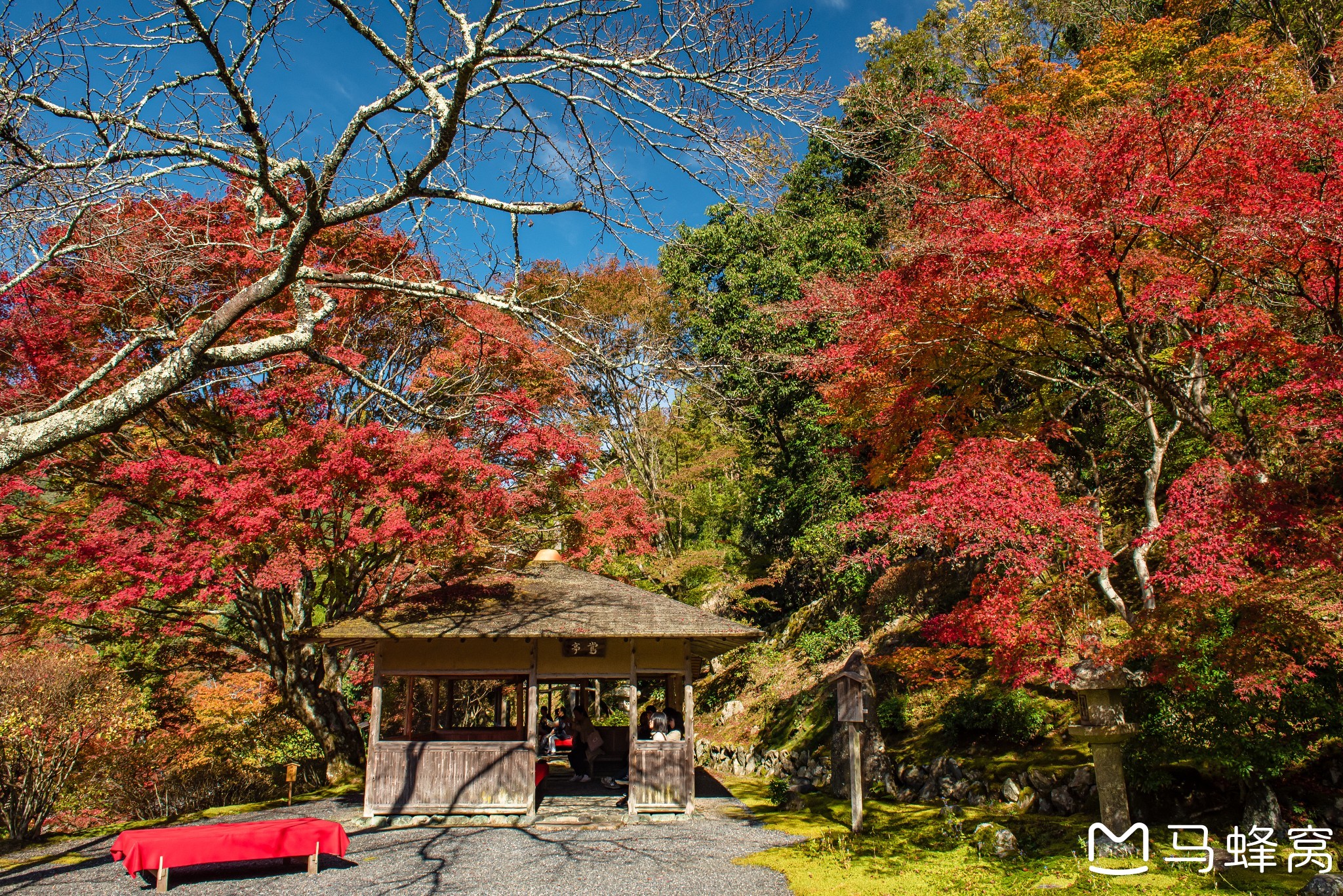 京都自助遊攻略