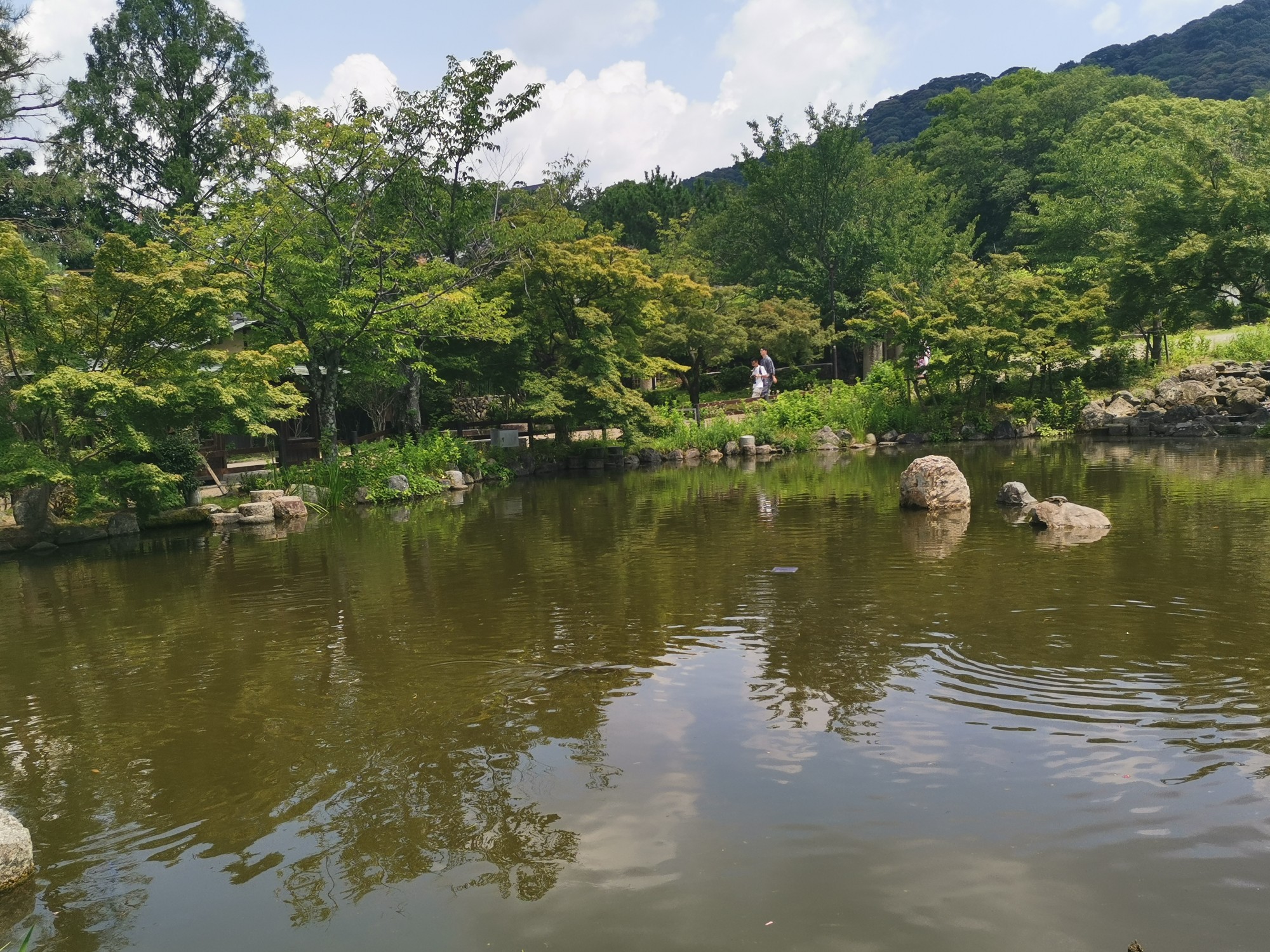 京都自助遊攻略