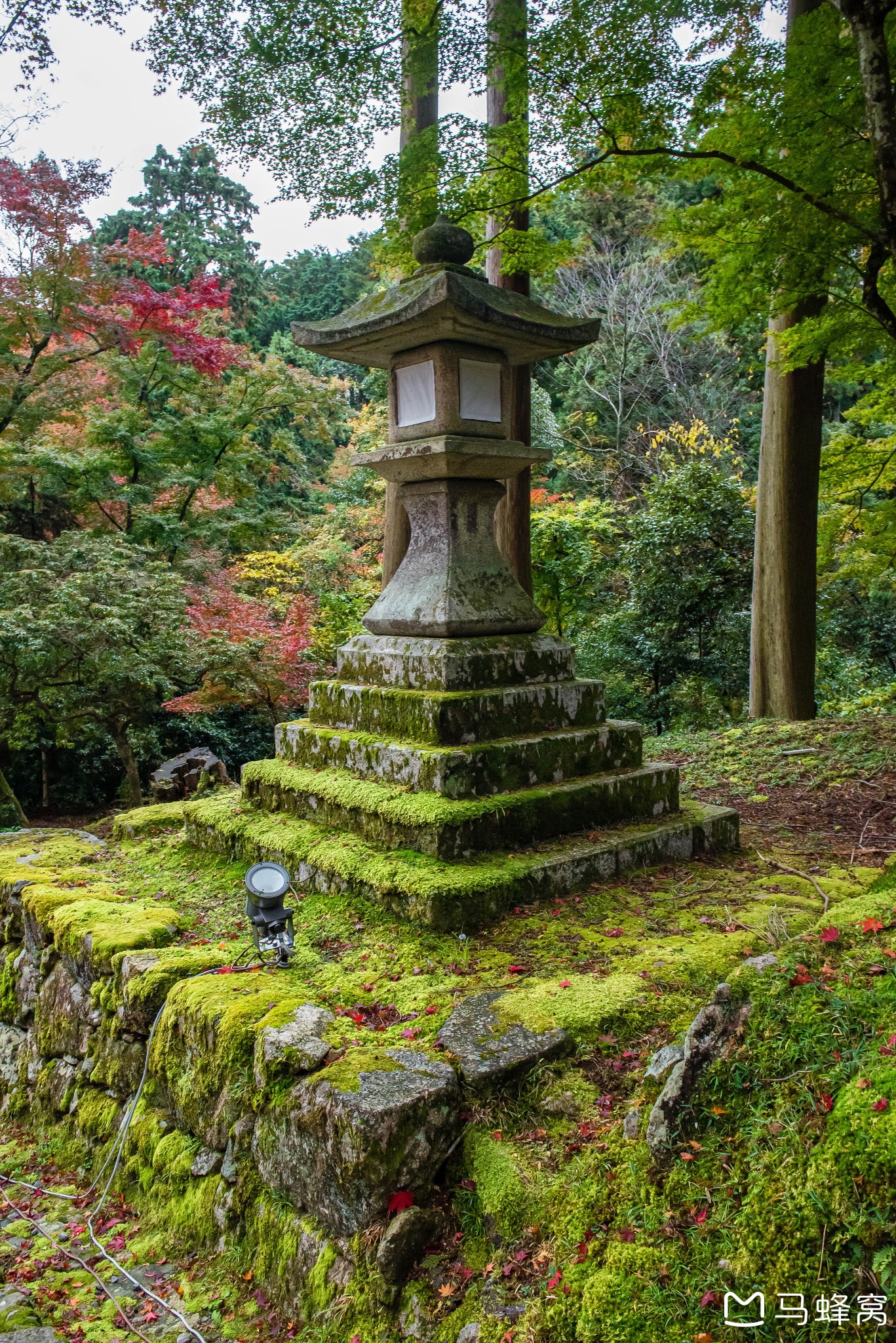 京都自助遊攻略