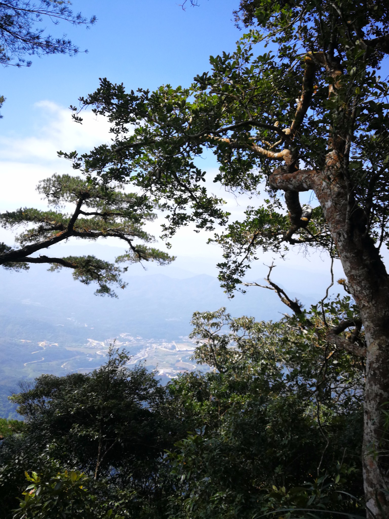 我愛五指山 我愛萬泉河——海南島自駕走透透之瓊海,五指山_遊記