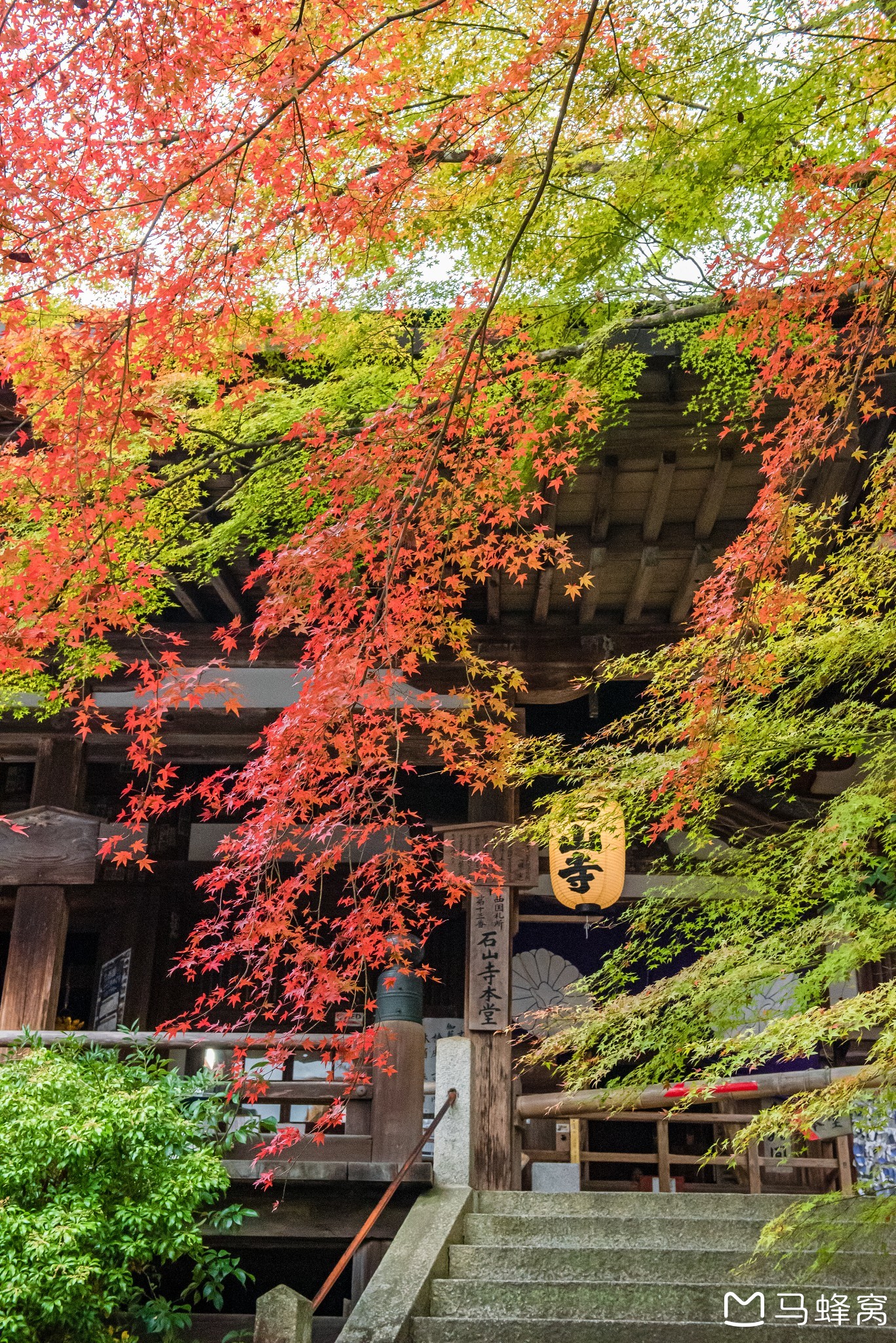 京都自助遊攻略