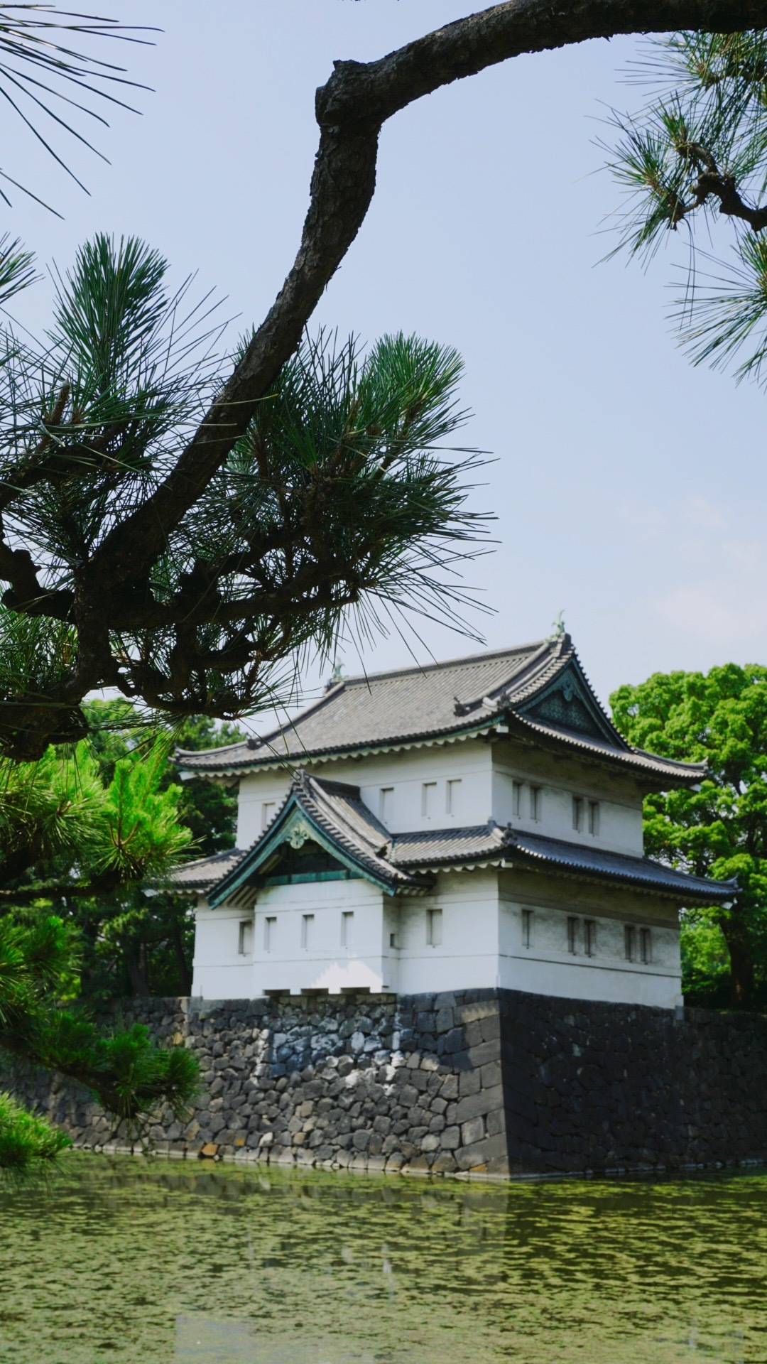 東京自助遊攻略