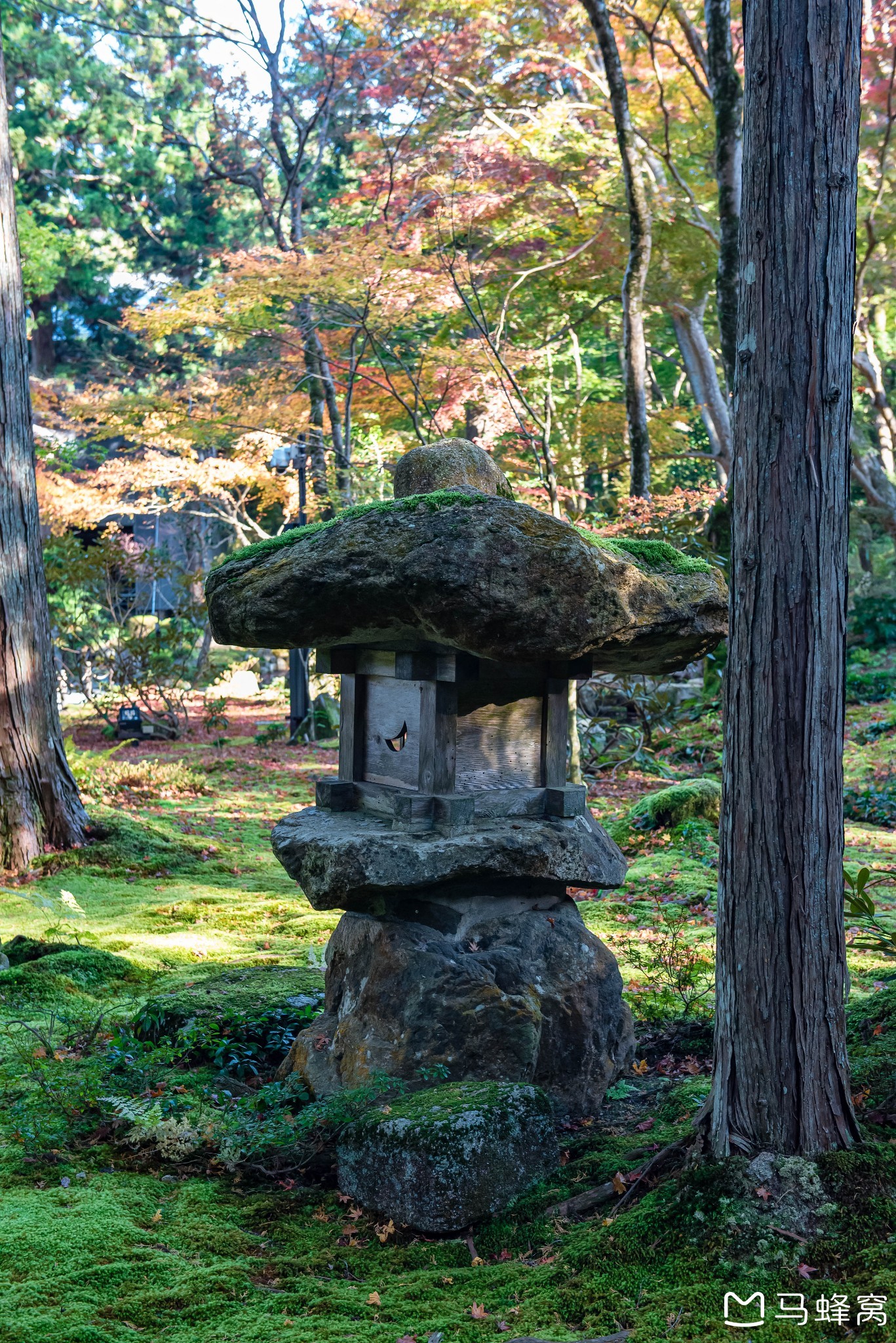 京都自助遊攻略